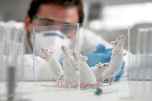 سمینار ملی فناوری های جایگزین حیوانات آزمایشگاهی