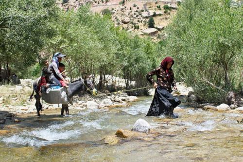 ضرورت توانمندسازی زنان روستا در صیانت از منابع طبیعی